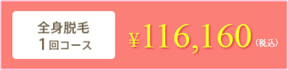 全身脱毛1回コース