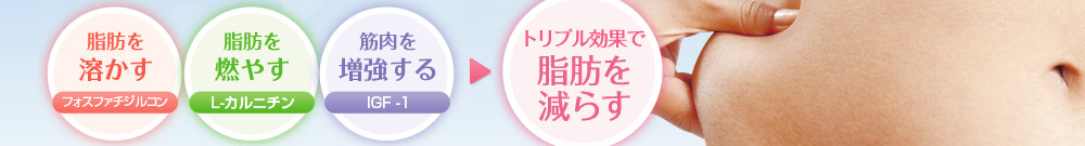 トリプル効果で脂肪を減らす