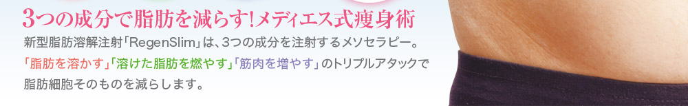 3つの成分で脂肪を減らす！メディエス式痩身法