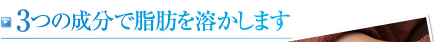 3つの成分で脂肪を溶かします。