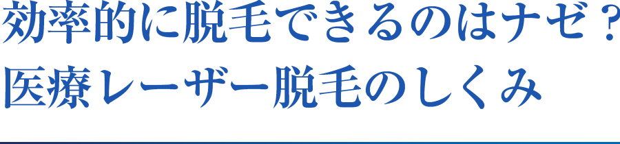 効率的に脱毛できるのはナゼ？医療レーザー脱毛のしくみ