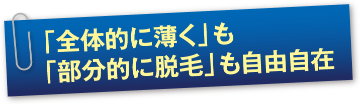「全体的に薄く」も「部分的に脱毛」も自由自在
