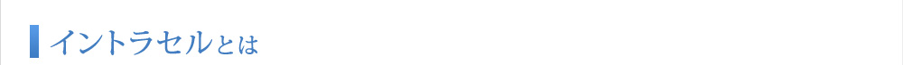 イントラセルとは